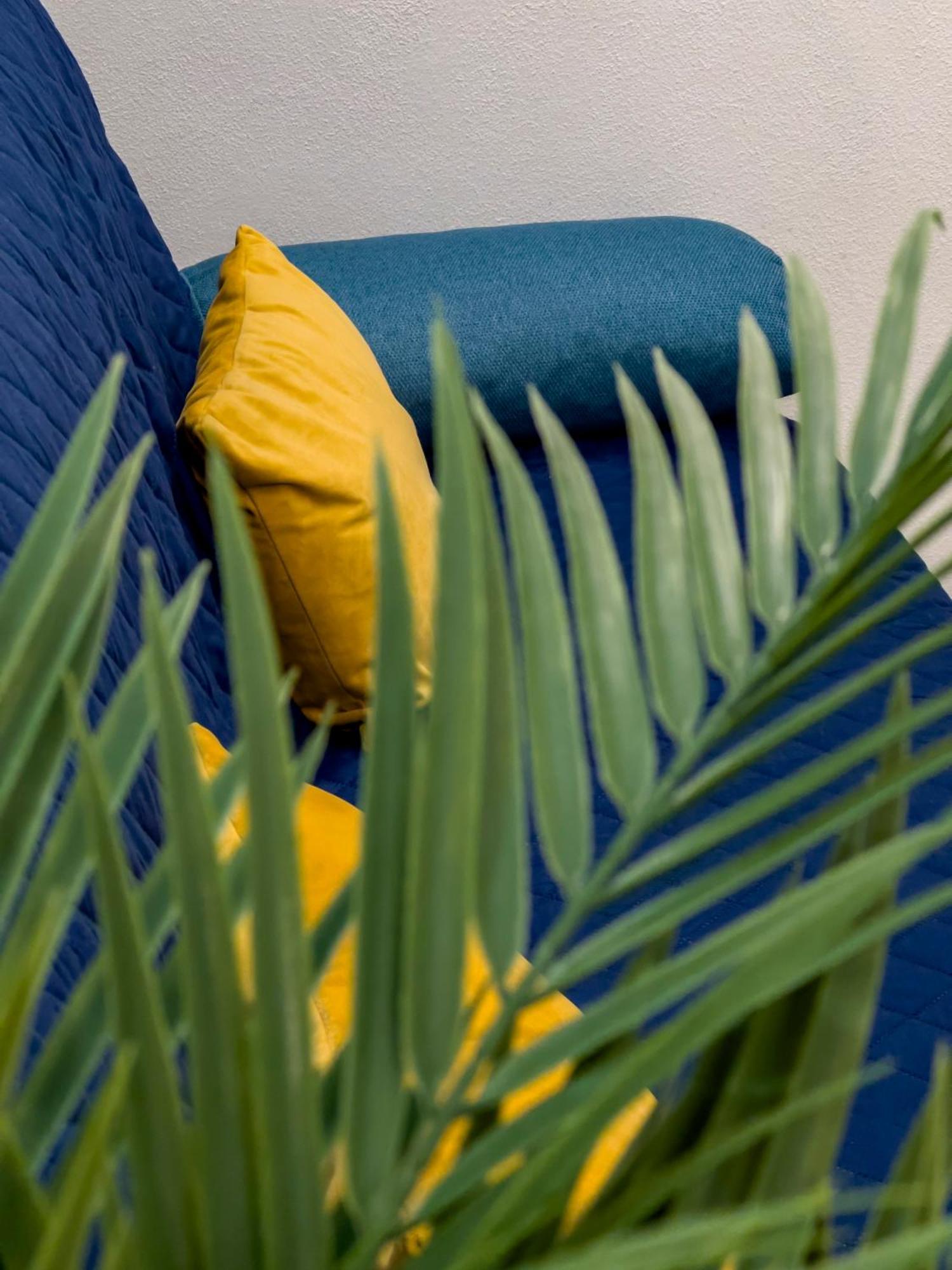 ראפאלו Alla Casa Rosa Al Mare, Central Seafront Stay With Free Private Garage, Air Conditionig, Wi-Fi, Ideal Choice For A Relaxing And Exciting Coastal Escape מראה חיצוני תמונה